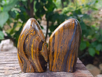 Polished Golden River Tigers Eye Standing Free Forms x 3 From Prieska, South Africa - Toprock Gemstones and Minerals 