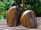 Polished Golden River Tigers Eye Standing Free Forms x 3 From Prieska, South Africa - Toprock Gemstones and Minerals 