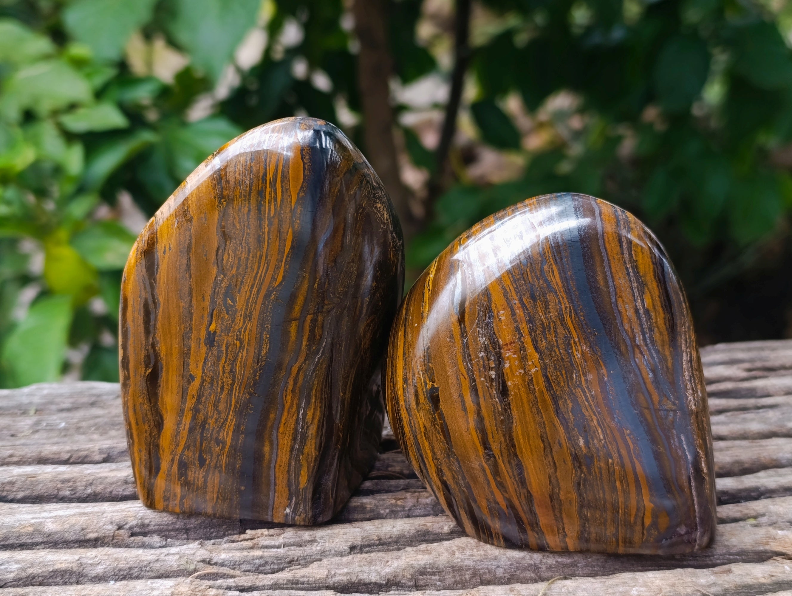Polished Golden River Tigers Eye Standing Free Forms x 3 From Prieska, South Africa - Toprock Gemstones and Minerals 