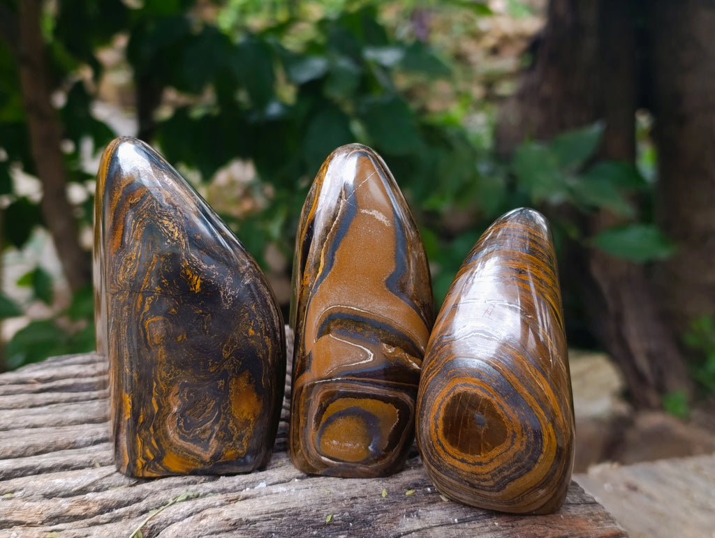 Polished Golden River Tigers Eye Standing Free Forms x 3 From Prieska, South Africa - Toprock Gemstones and Minerals 