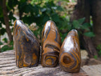 Polished Golden River Tigers Eye Standing Free Forms x 3 From Prieska, South Africa - Toprock Gemstones and Minerals 