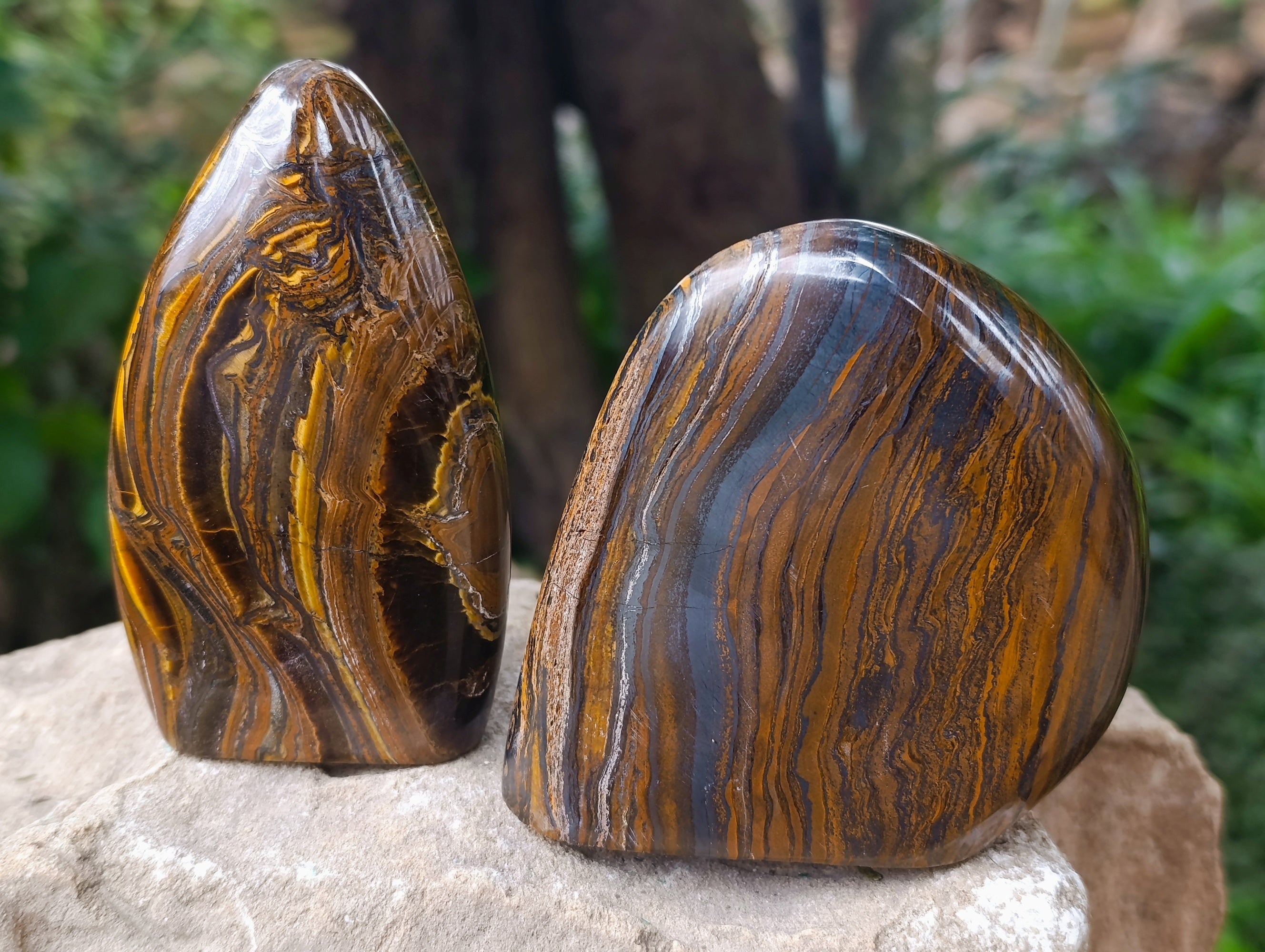 Polished Golden River Tigers Eye Standing Free Forms x 3 From Prieska, South Africa - Toprock Gemstones and Minerals 