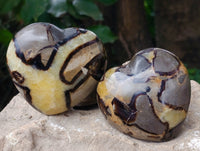 Polished Fossilized Septerye Hearts x 6 From Mahajanga, Madagascar - Toprock Gemstones and Minerals 