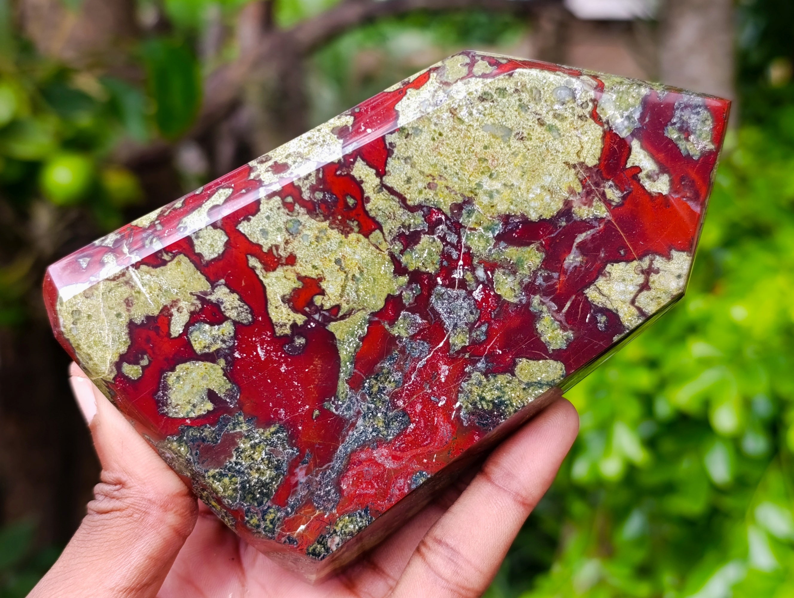 Polished Bastite Dragons Blood Stone Points x 2 From Tshipise, South Africa - Toprock Gemstones and Minerals 