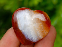 Polished Mini Carnelian Agate "Jewellery" Gemstone Hearts x 20 From Madagascar