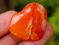 Polished Mini Carnelian Agate "Jewellery" Gemstone Hearts x 20 From Madagascar