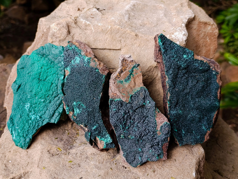 files/166007_9.jpg