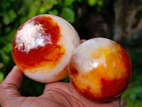 Polished Carnelian Agate Spheres x 4 From Madagascar - Toprock Gemstones and Minerals 