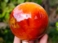 Polished Carnelian Agate Spheres x 4 From Madagascar - Toprock Gemstones and Minerals 