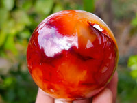 Polished Carnelian Agate Spheres x 4 From Madagascar - Toprock Gemstones and Minerals 