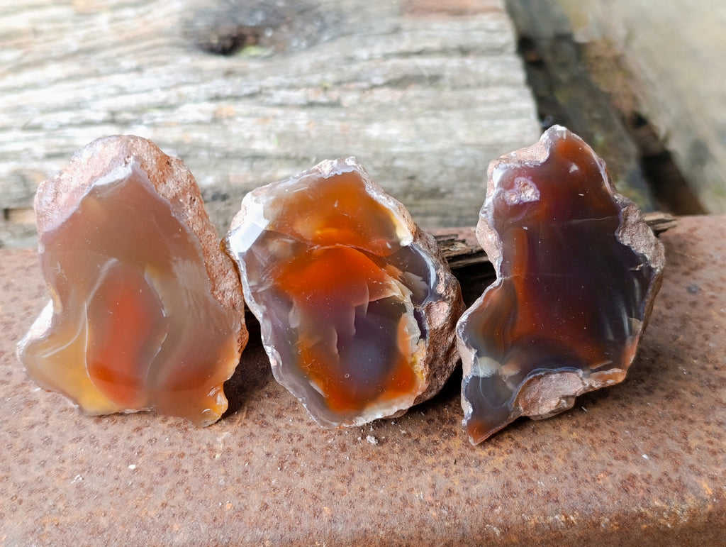 Polished On One Side Red Sashe River Agate Nodules x 12 From Zimbabwe - Toprock Gemstones and Minerals 