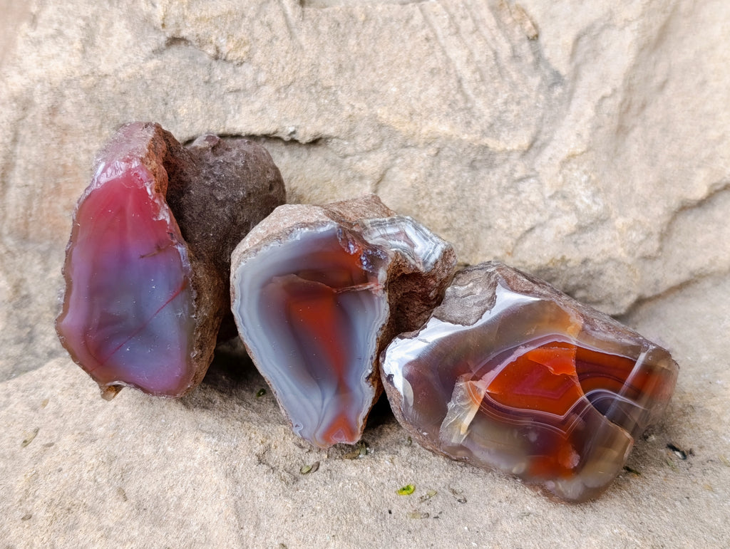 Polished On One Side Red Sashe River Agate Nodules x 12 From Zimbabwe - Toprock Gemstones and Minerals 
