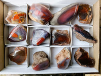Polished On One Side Red Sashe River Agate Nodules x 12 From Zimbabwe - Toprock Gemstones and Minerals 