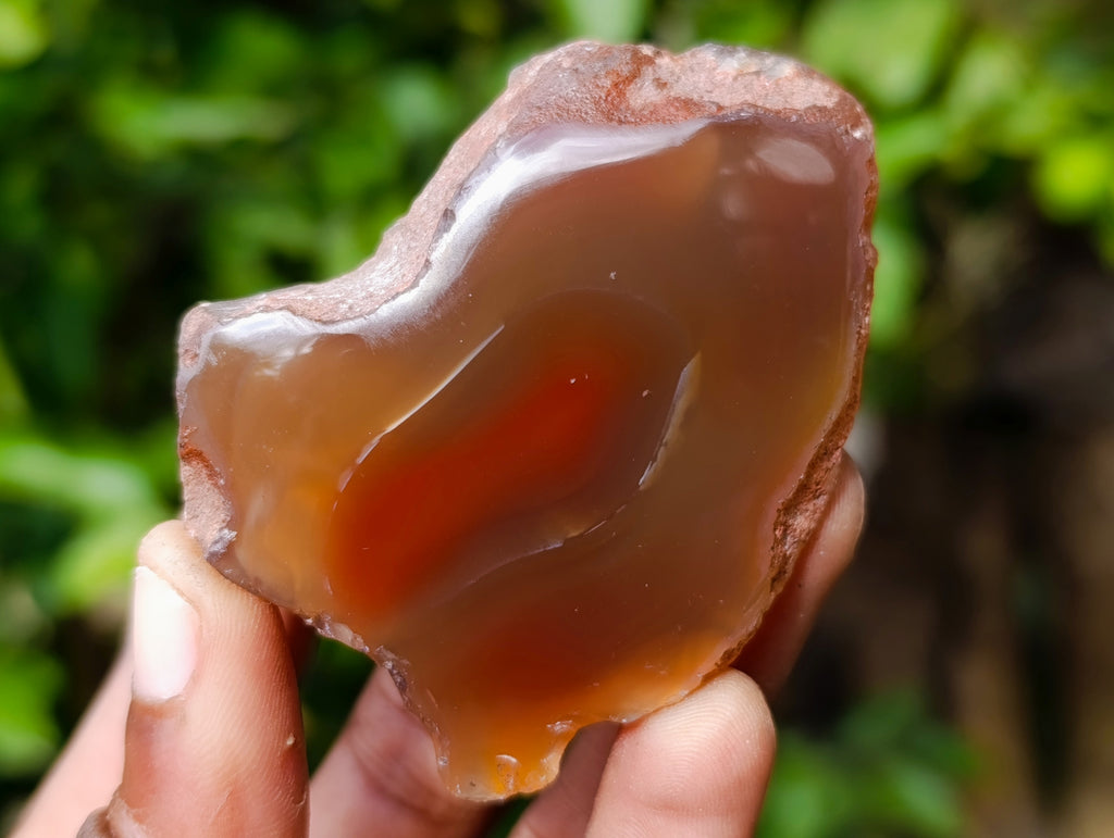 Polished On One Side Red Sashe River Agate Nodules x 12 From Zimbabwe - Toprock Gemstones and Minerals 
