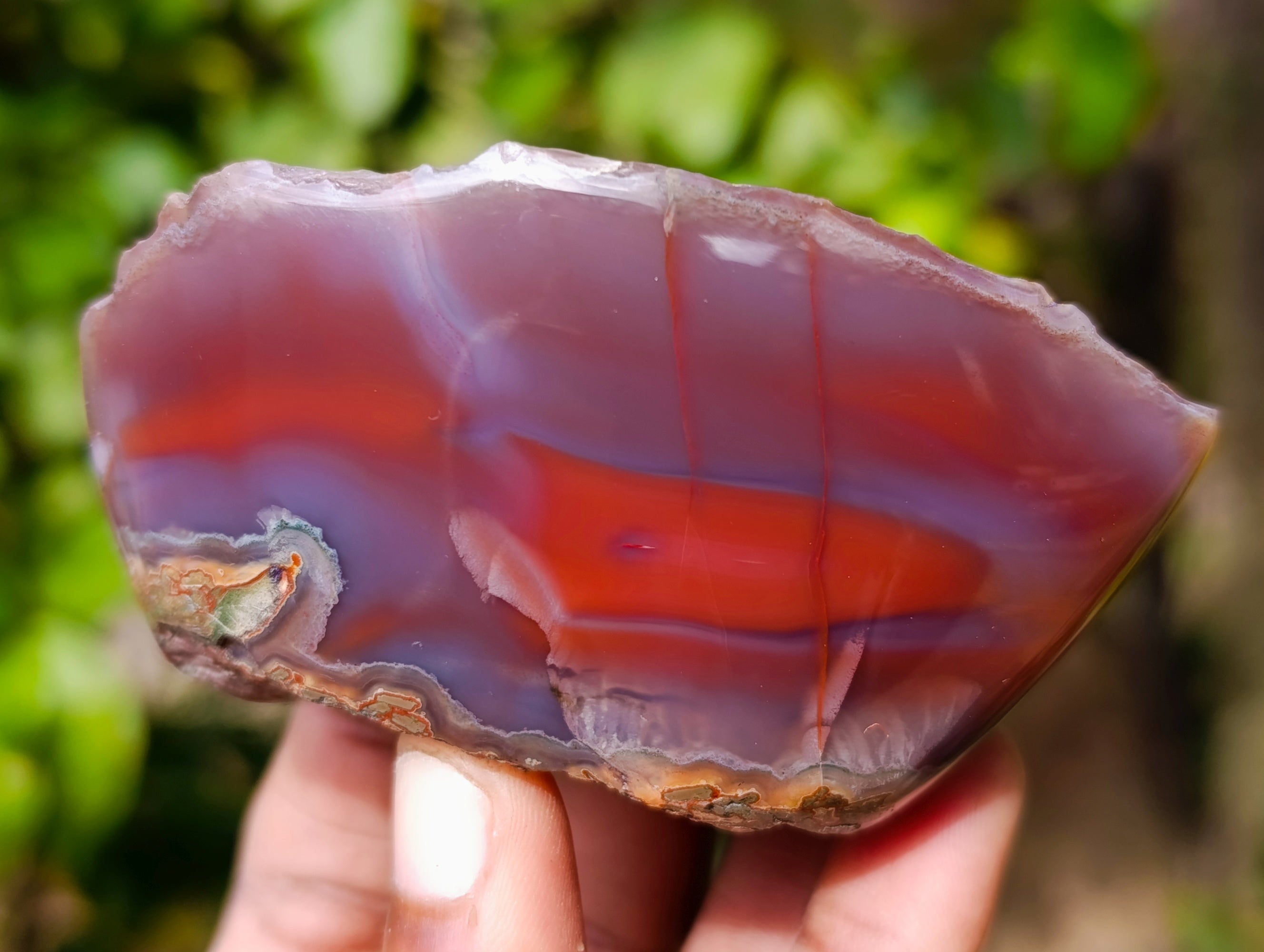 Polished On One Side Red Sashe River Agate Nodules x 12 From Zimbabwe - Toprock Gemstones and Minerals 