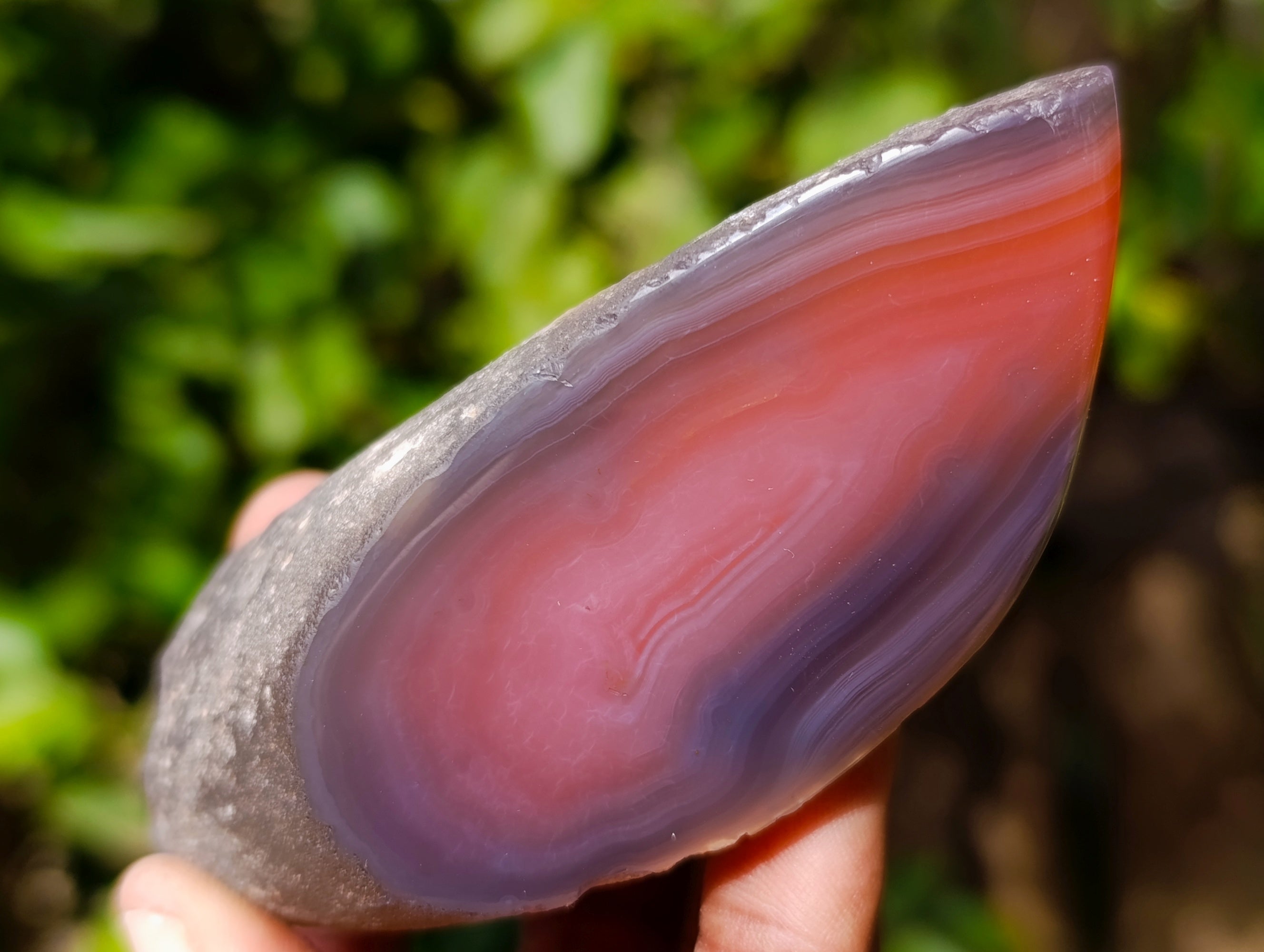 Polished On One Side Red Sashe River Agate Nodules x 12 From Zimbabwe - Toprock Gemstones and Minerals 
