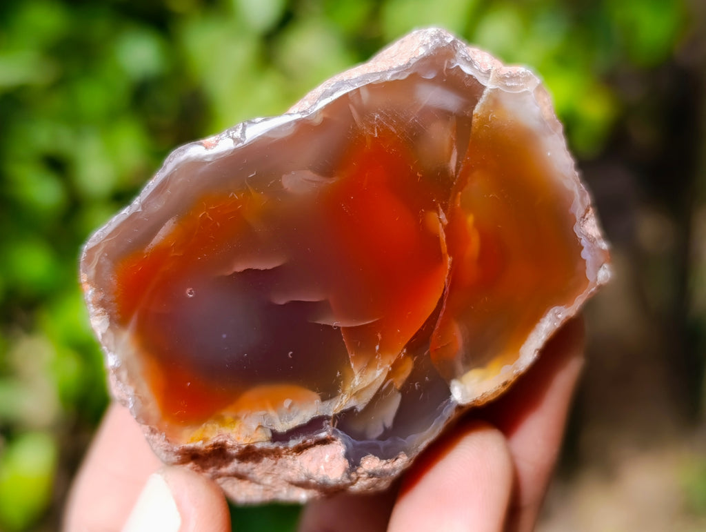 Polished On One Side Red Sashe River Agate Nodules x 12 From Zimbabwe - Toprock Gemstones and Minerals 