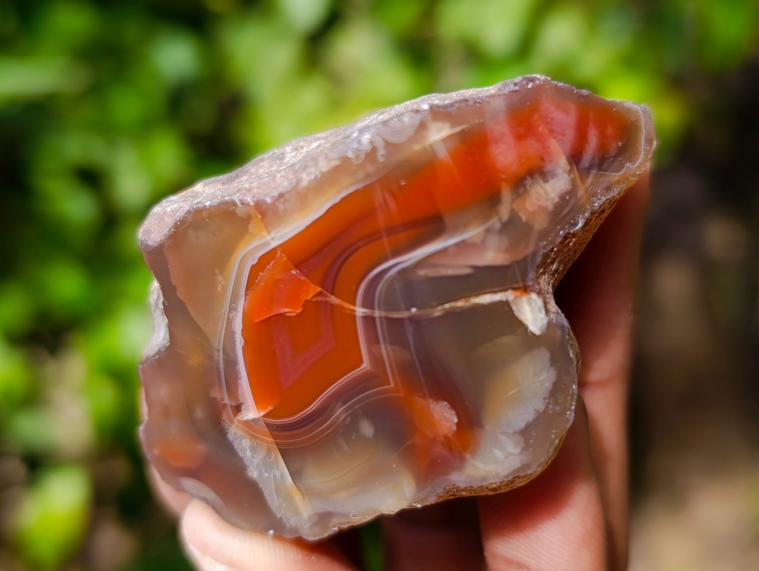 Polished On One Side Red Sashe River Agate Nodules x 12 From Zimbabwe - Toprock Gemstones and Minerals 