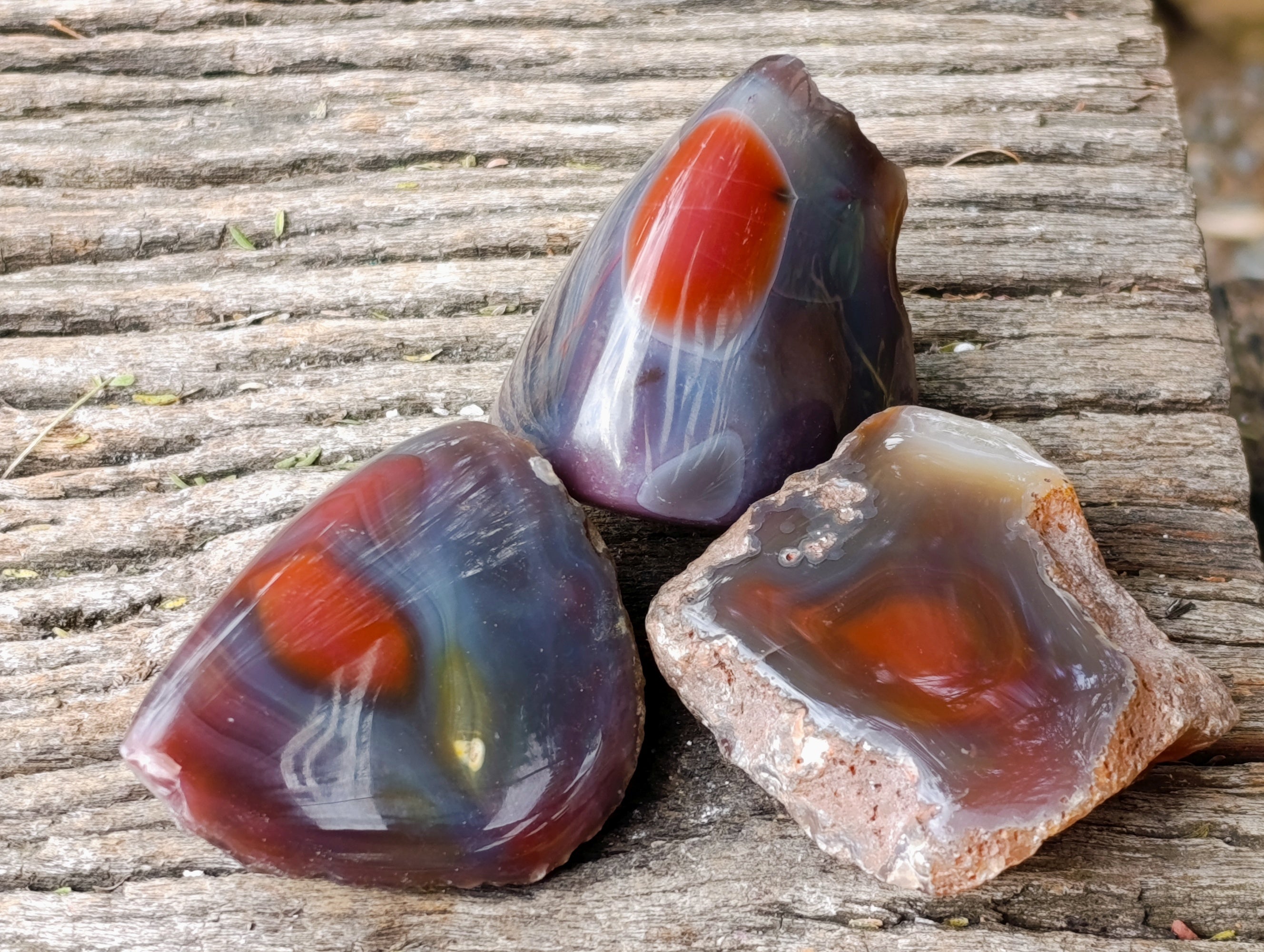 Polished On One Side Red Sashe River Agate Nodules x 12 From Zimbabwe - Toprock Gemstones and Minerals 