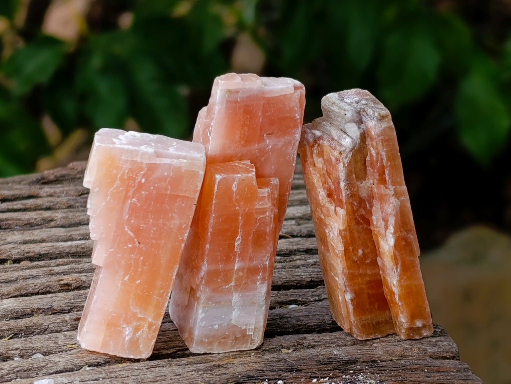 Natural Rhombohedral Sunset Orange Calcite Specimens x 35 From Spitzkop, Namibia - Toprock Gemstones and Minerals 