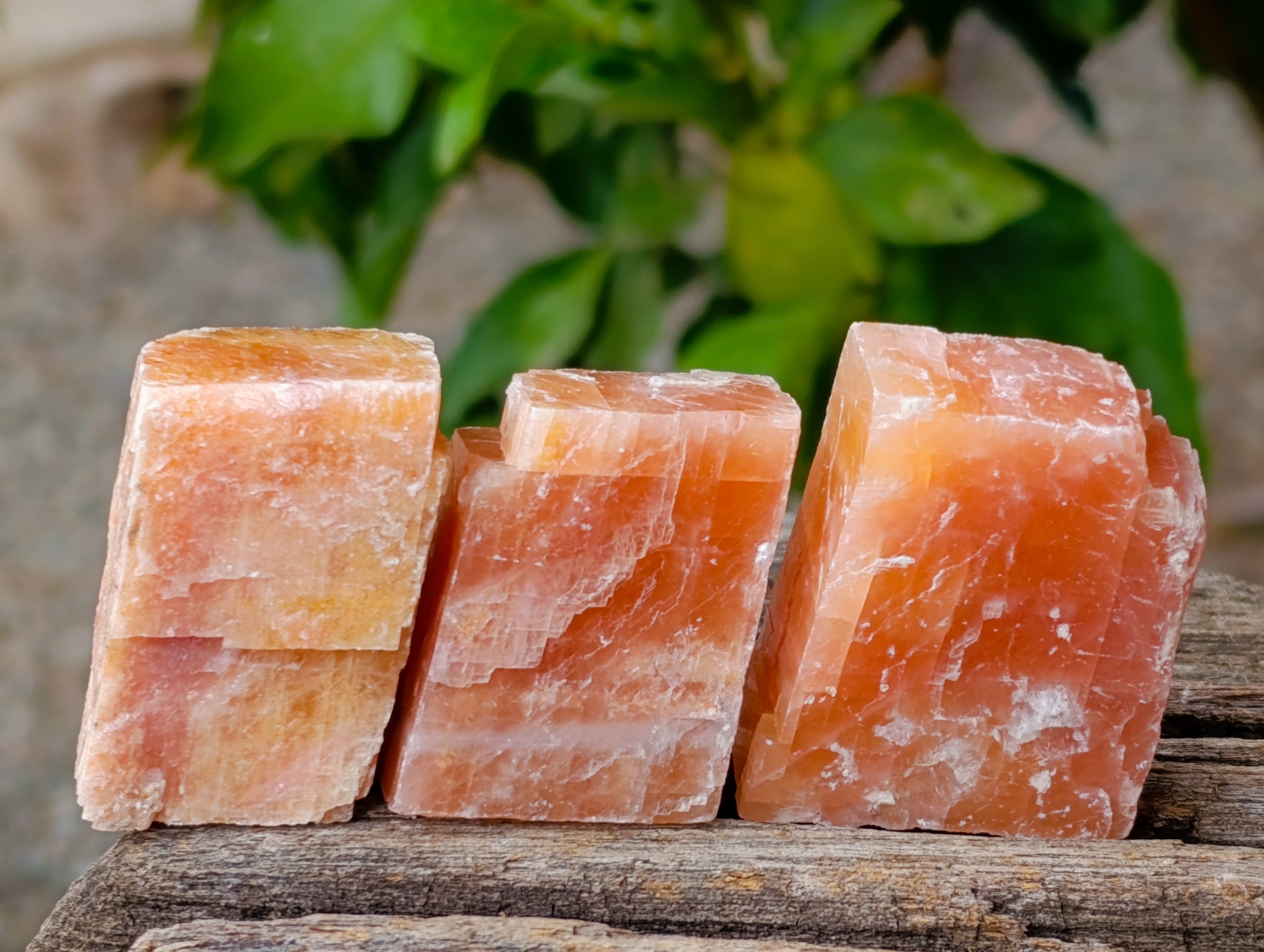 Natural Rhombohedral Sunset Orange Calcite Specimens x 35 From Spitzkop, Namibia - Toprock Gemstones and Minerals 