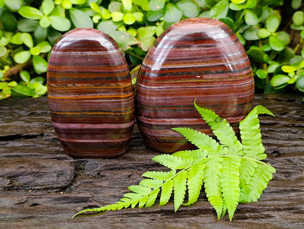 Polished Banded Tiger Iron Jasper Standing Free Forms x 2 From South Africa