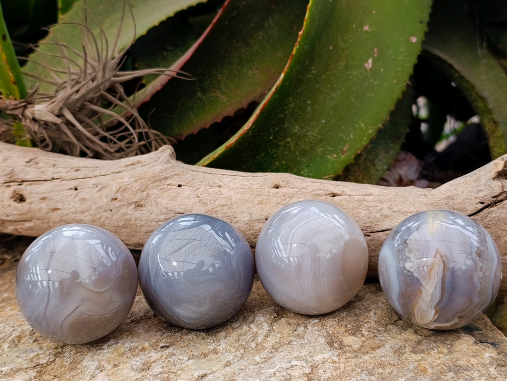 Polished Banded Agate Spheres x 4 From Madagascar - Toprock Gemstones and Minerals 
