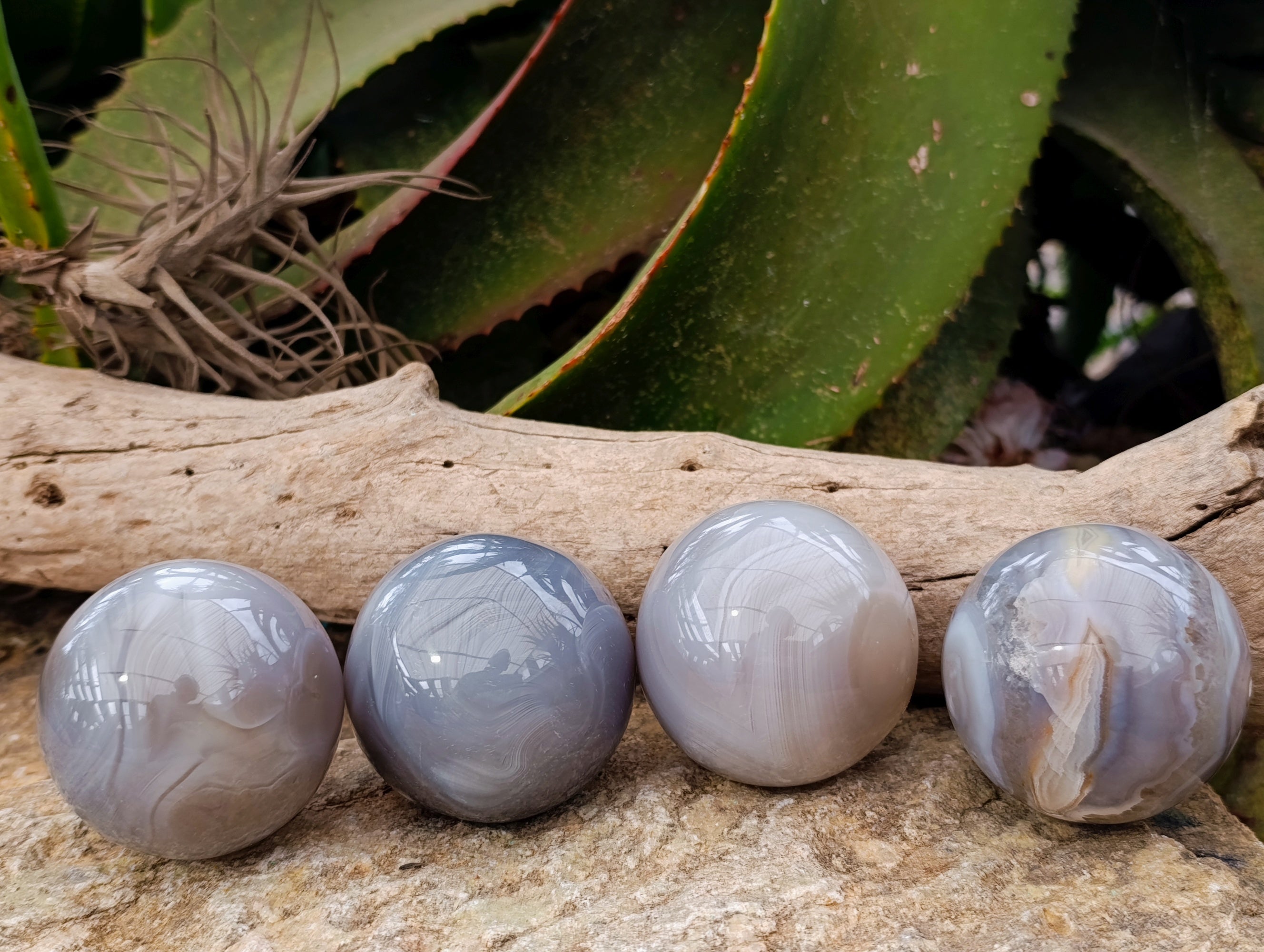 Polished Banded Agate Spheres x 4 From Madagascar - Toprock Gemstones and Minerals 