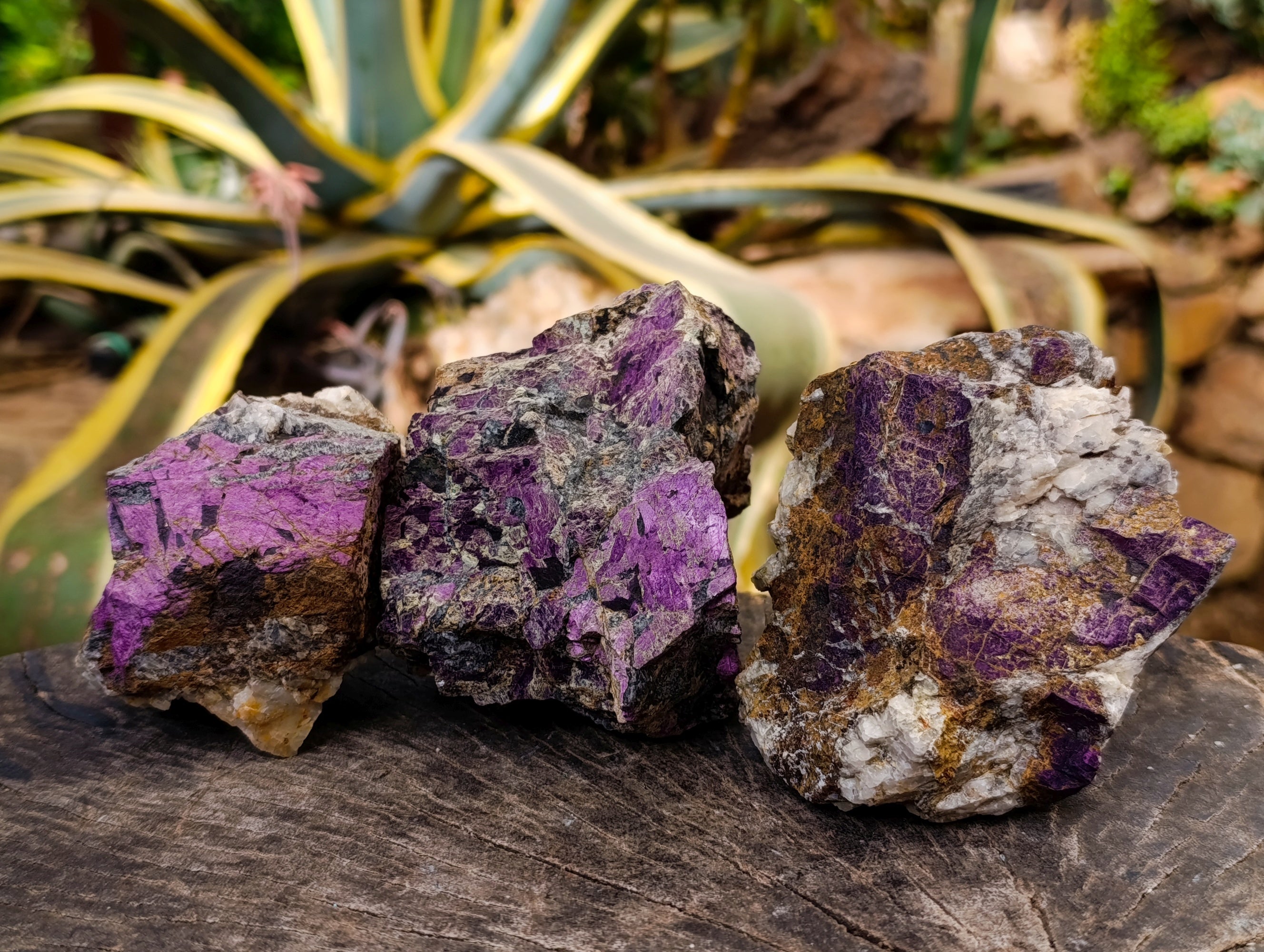 Natural Metallic Purpurite Cobbed Specimens x 3 From Erongo, Namibia - Toprock Gemstones and Minerals 