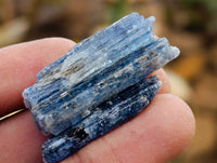 Natural Fluorescent Kyanite Crystals x 1.84 Kg Lot From Karoi, Zimbabwe - Toprock Gemstones and Minerals 