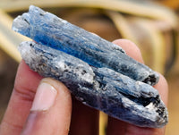 Natural Fluorescent Kyanite Crystals x 1.84 Kg Lot From Karoi, Zimbabwe - Toprock Gemstones and Minerals 