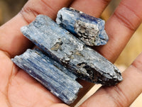 Natural Fluorescent Kyanite Crystals x 1.84 Kg Lot From Karoi, Zimbabwe - Toprock Gemstones and Minerals 