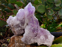 Natural Jacaranda Amethyst Quartz Clusters x 6 From Mumbwa, Zambia - Toprock Gemstones and Minerals 