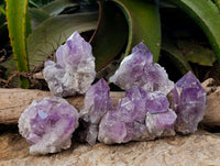 Natural Jacaranda Amethyst Quartz Clusters x 6 From Mumbwa, Zambia - Toprock Gemstones and Minerals 