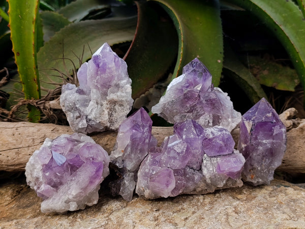 Natural Jacaranda Amethyst Quartz Clusters x 6 From Mumbwa, Zambia