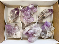 Natural Jacaranda Amethyst Quartz Clusters x 6 From Mumbwa, Zambia - Toprock Gemstones and Minerals 