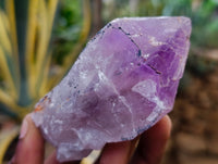 Natural Jacaranda Amethyst Quartz Clusters x 6 From Mumbwa, Zambia - Toprock Gemstones and Minerals 