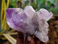 Natural Jacaranda Amethyst Quartz Clusters x 6 From Mumbwa, Zambia - Toprock Gemstones and Minerals 