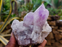 Natural Jacaranda Amethyst Quartz Clusters x 6 From Mumbwa, Zambia - Toprock Gemstones and Minerals 