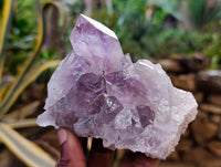 Natural Jacaranda Amethyst Quartz Clusters x 6 From Mumbwa, Zambia - Toprock Gemstones and Minerals 