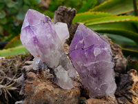 Natural Jacaranda Amethyst Quartz Clusters x 6 From Mumbwa, Zambia - Toprock Gemstones and Minerals 
