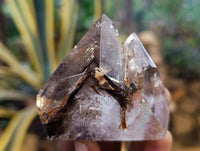 Polished Mixed Smokey Quartz Crystals including Golden Rutile Inclusion x 4 from Madagascar - Toprock Gemstones and Minerals 
