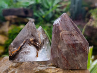 Polished Mixed Smokey Quartz Crystals including Golden Rutile Inclusion x 4 from Madagascar - Toprock Gemstones and Minerals 