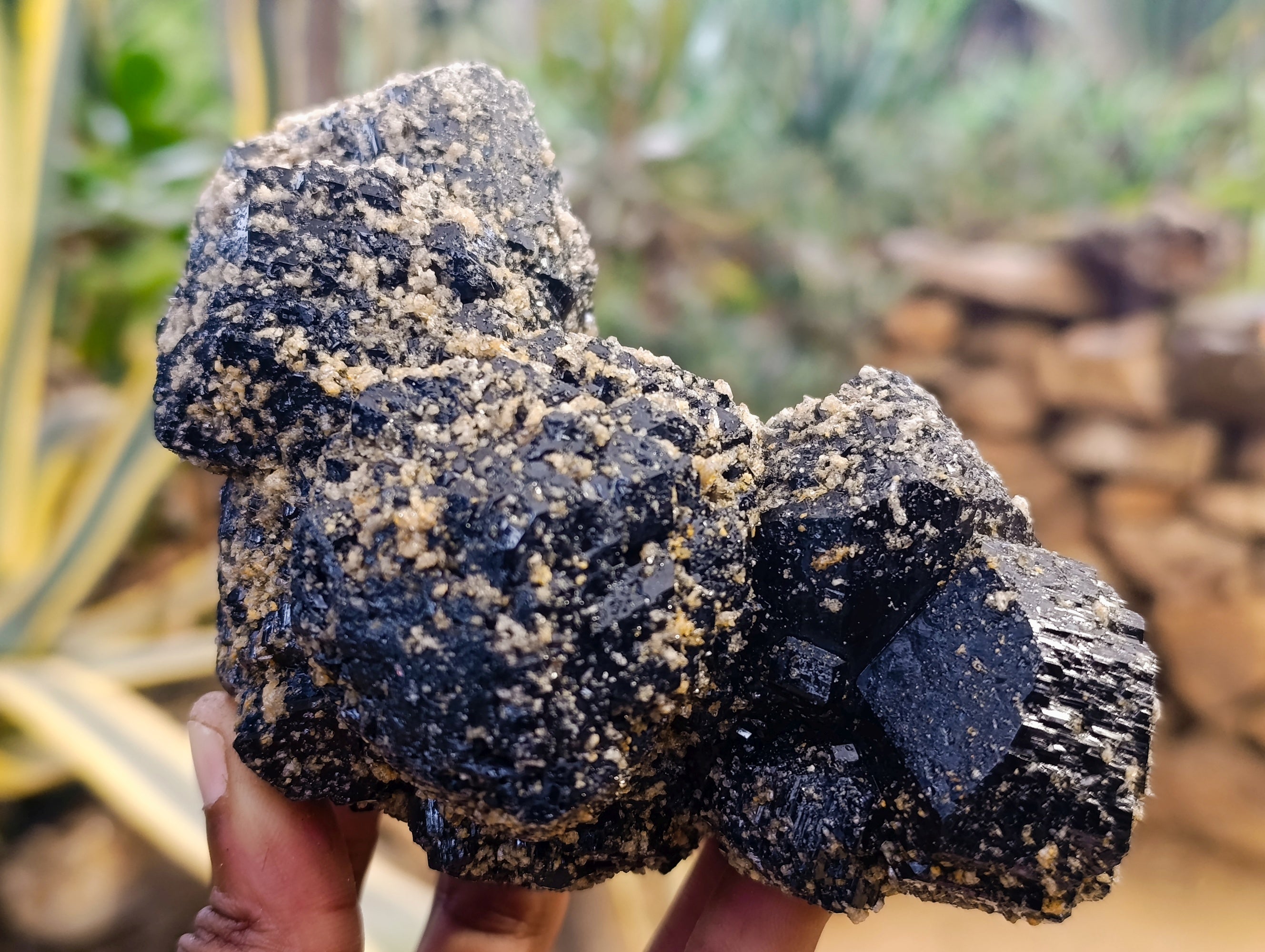 Natural Schorl Black Tourmaline Clusters x 2 From Erongo, Namibia - Toprock Gemstones and Minerals 