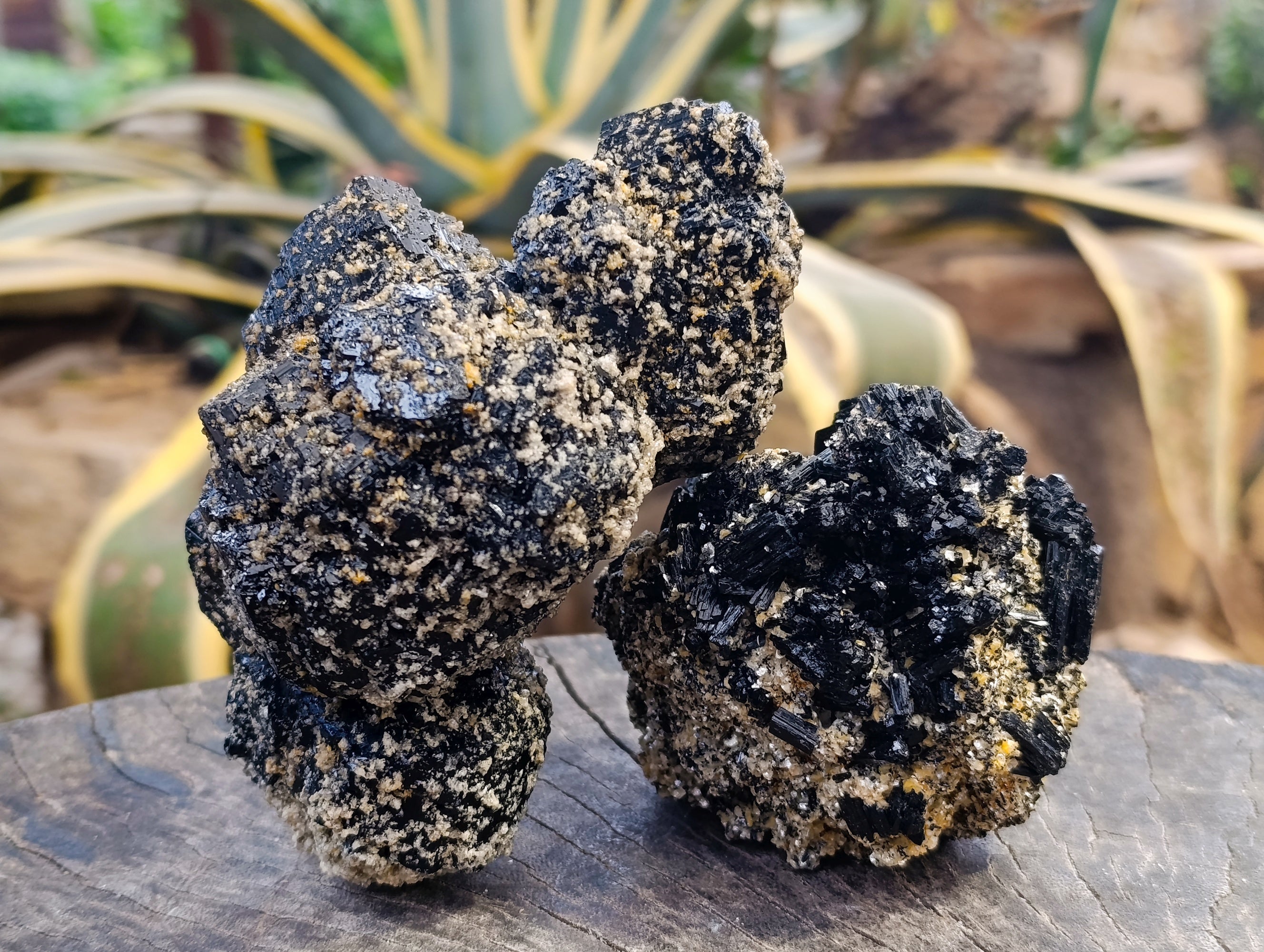 Natural Schorl Black Tourmaline Clusters x 2 From Erongo, Namibia - Toprock Gemstones and Minerals 