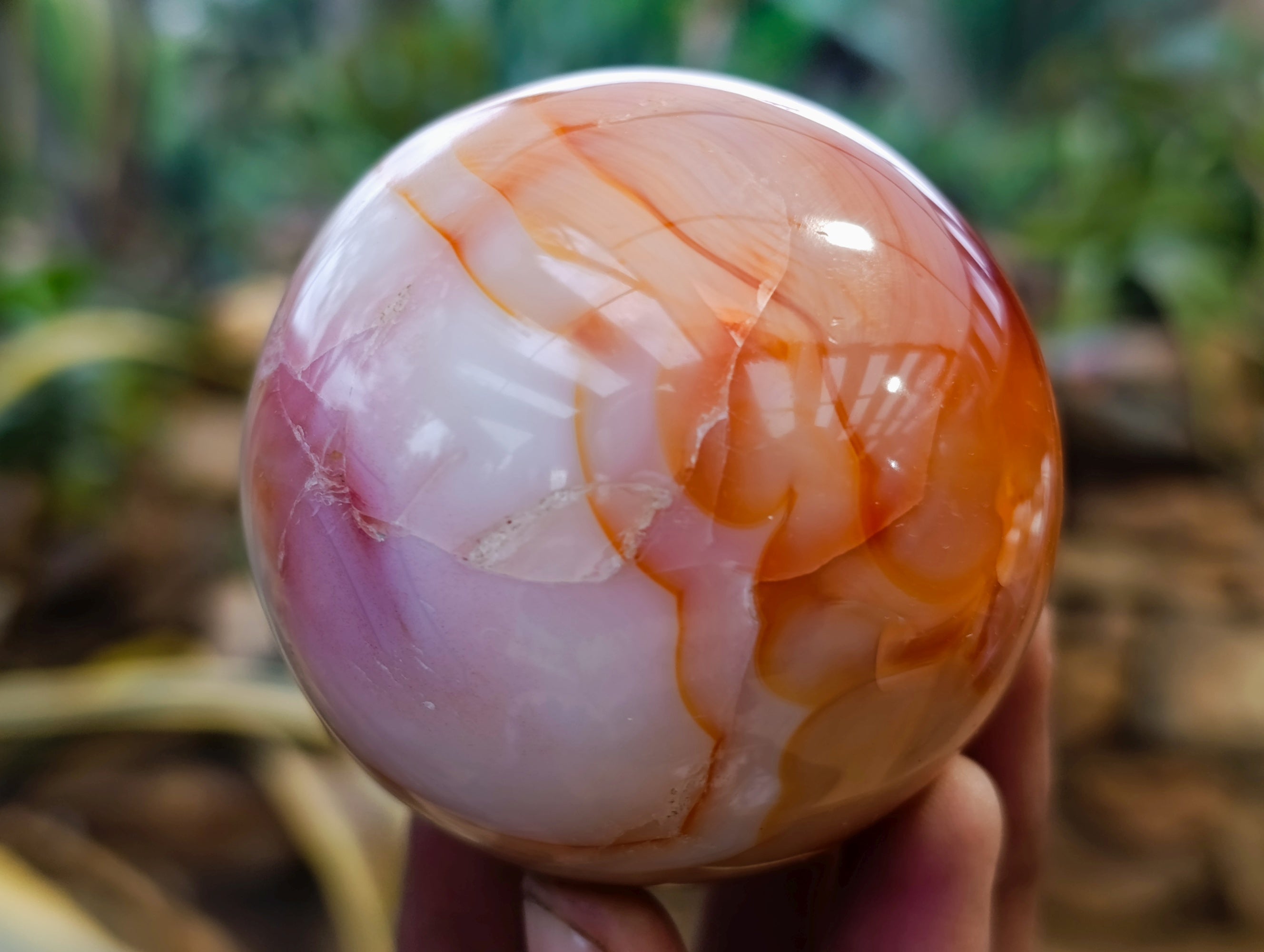 Polished Carnelian Agate Spheres x 3 From Madagascar - Toprock Gemstones and Minerals 