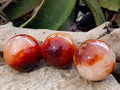 Polished Carnelian Agate Spheres x 3 From Madagascar - Toprock Gemstones and Minerals 