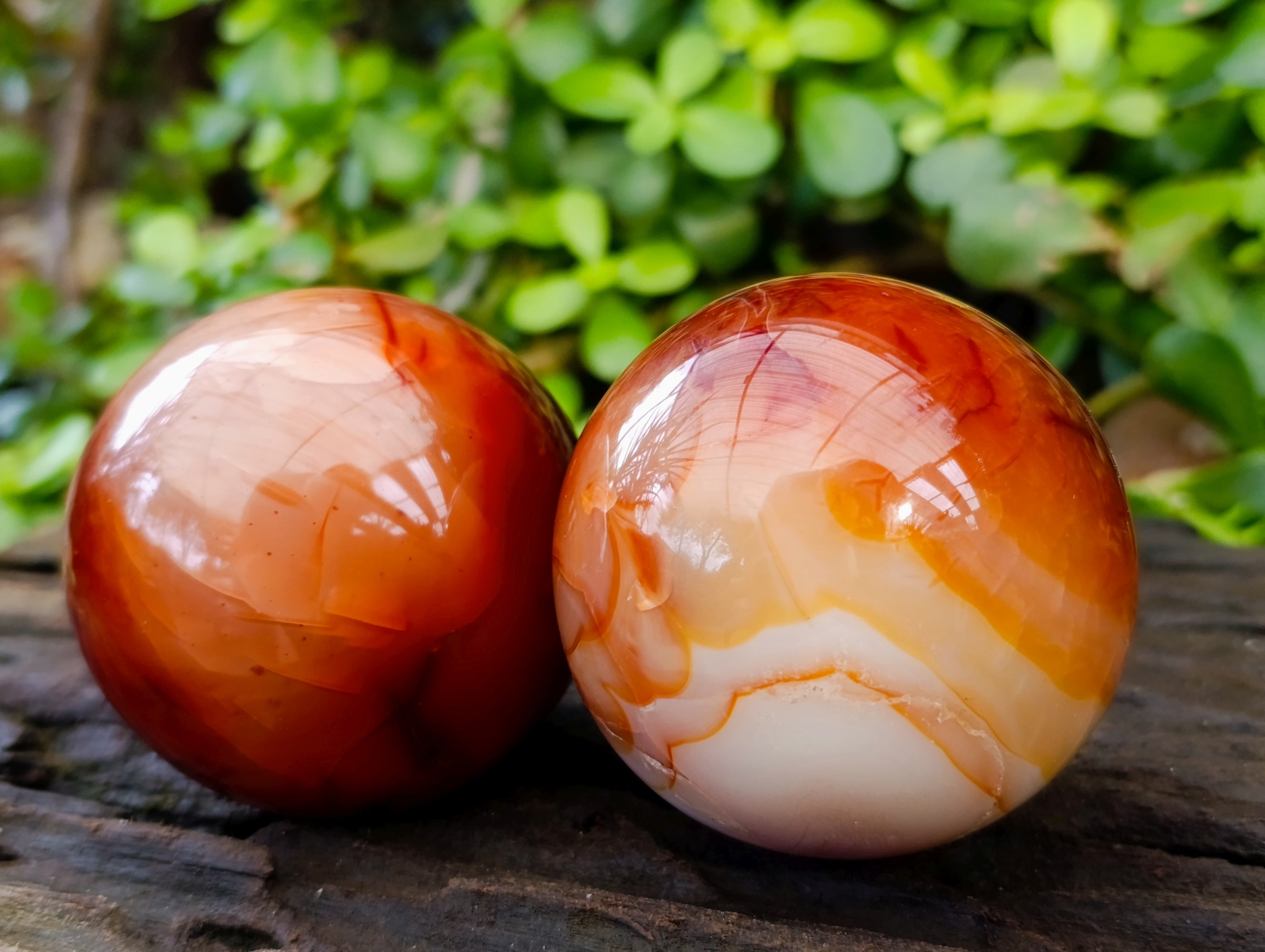Polished Carnelian Agate Spheres x 3 From Madagascar - Toprock Gemstones and Minerals 