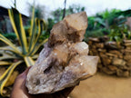 Natural Smokey Phantom Quartz Cluster x 2 From Luena, Congo - Toprock Gemstones and Minerals 