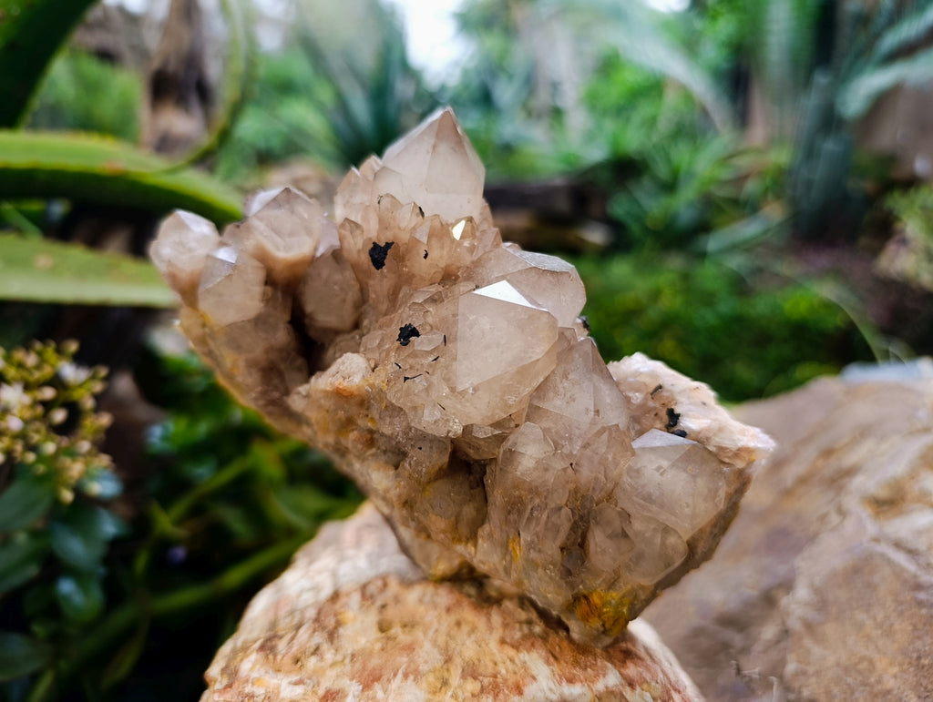 Natural Smokey Phantom Quartz Cluster x 2 From Luena, Congo - Toprock Gemstones and Minerals 